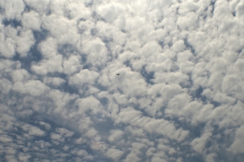 雲海を飛ぶ
