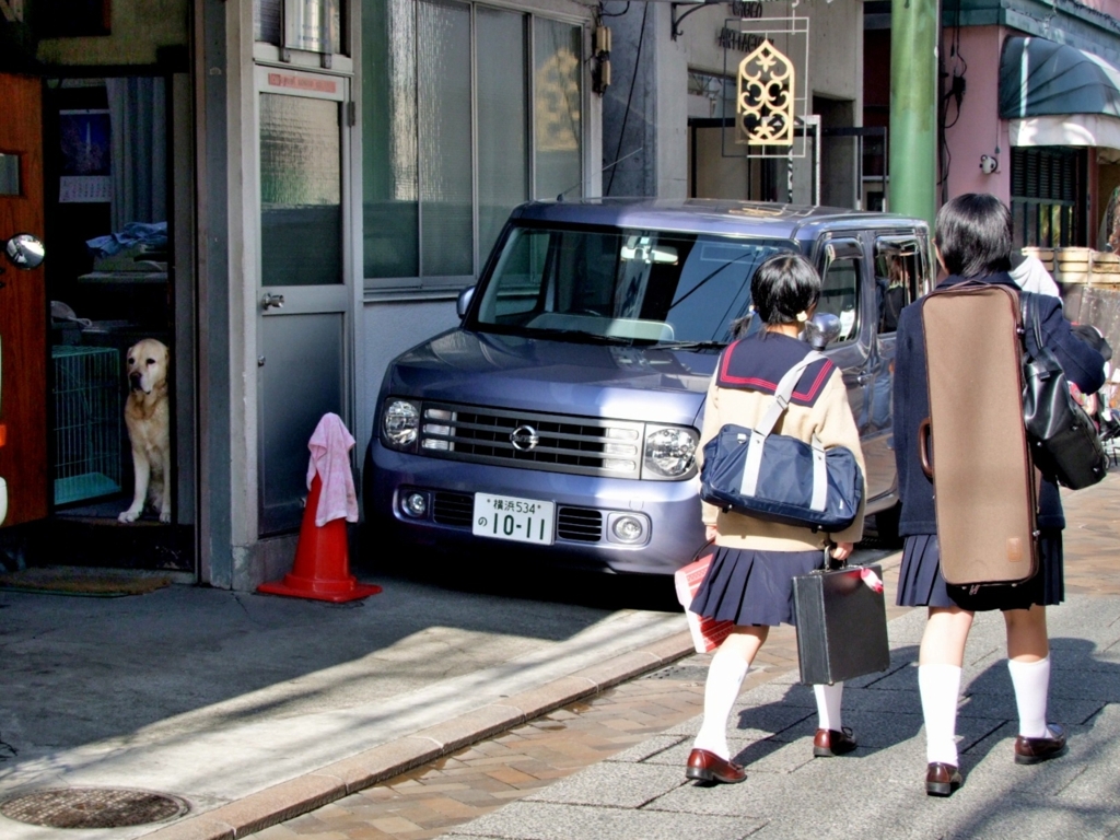 MOTOMACHI DOGS