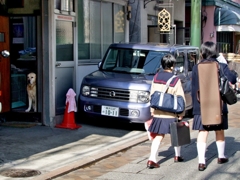 MOTOMACHI DOGS