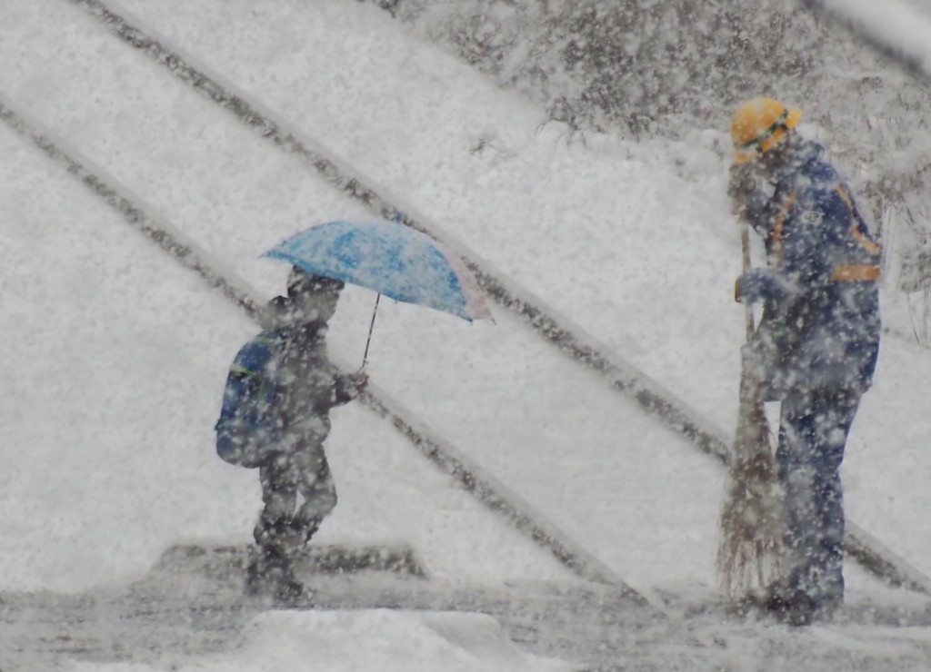 気をつけて帰るんだよ