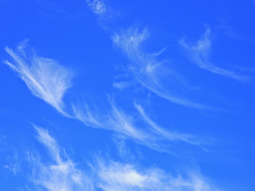 すじ雲