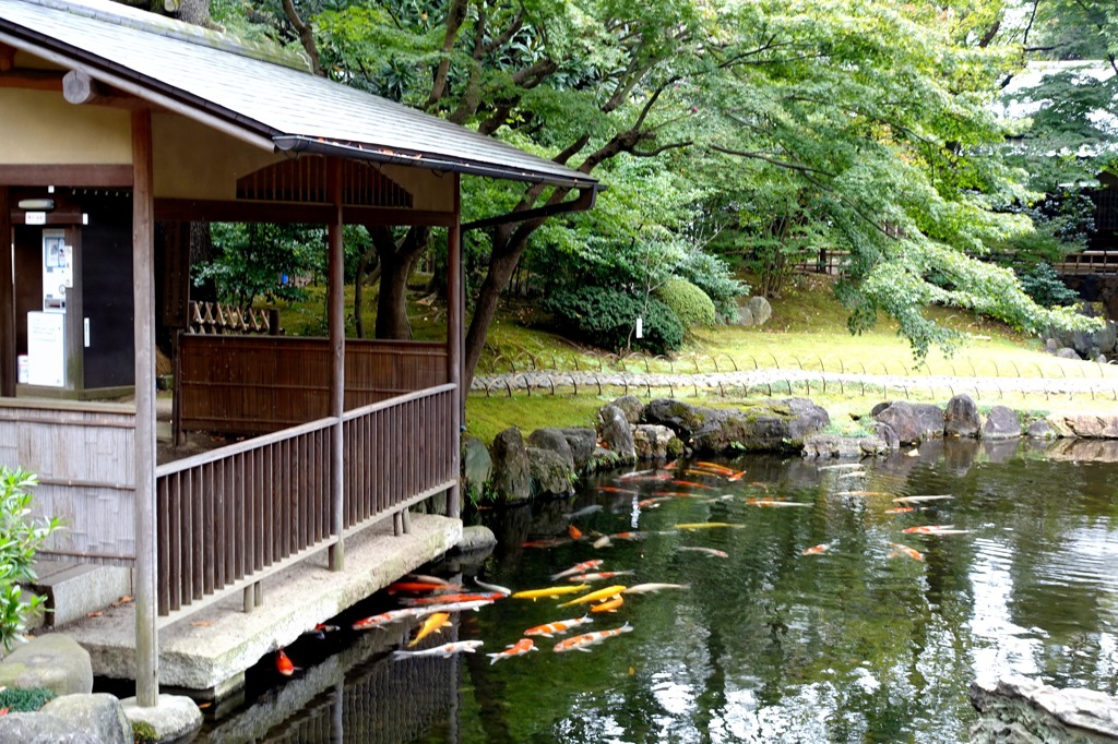 今朝の靖国神社