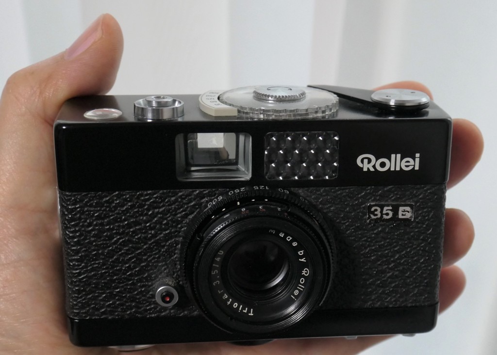 奈良からやってきました