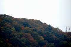 タムロン18-200mmF3.5/6.3 Di Ⅲ VC