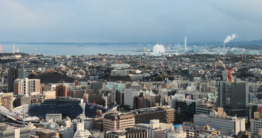 根岸方面