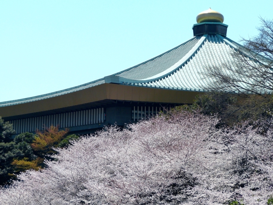 九段の桜 