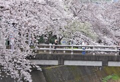 そうだ、九段に行こう！