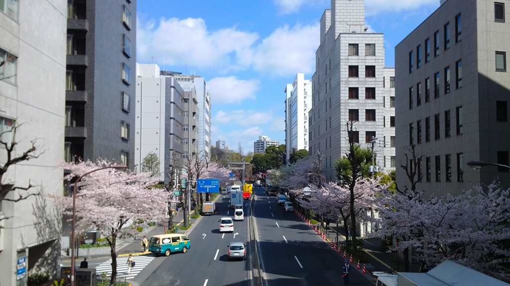 最期の桜