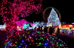 よみうりランド“ジェルミネーション”　８