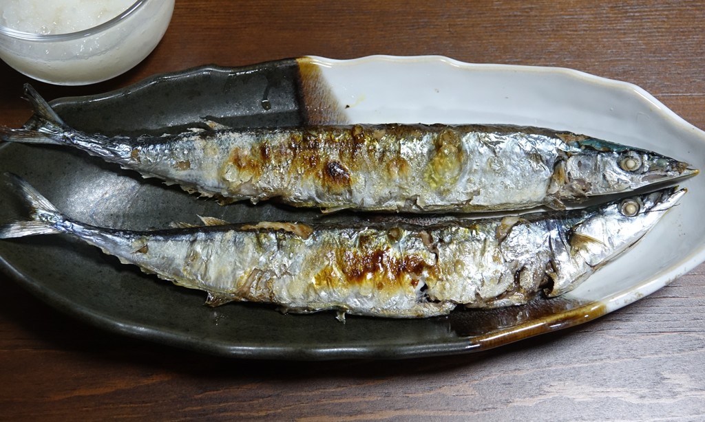 初サンマ