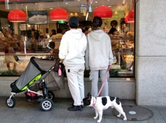 MOTOMACHI DOGS