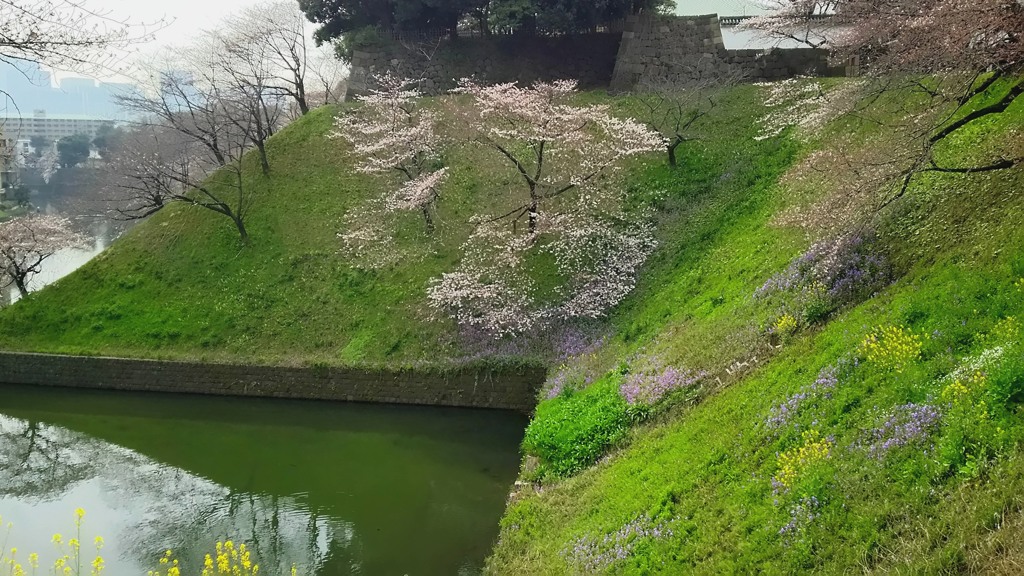 九段坂から