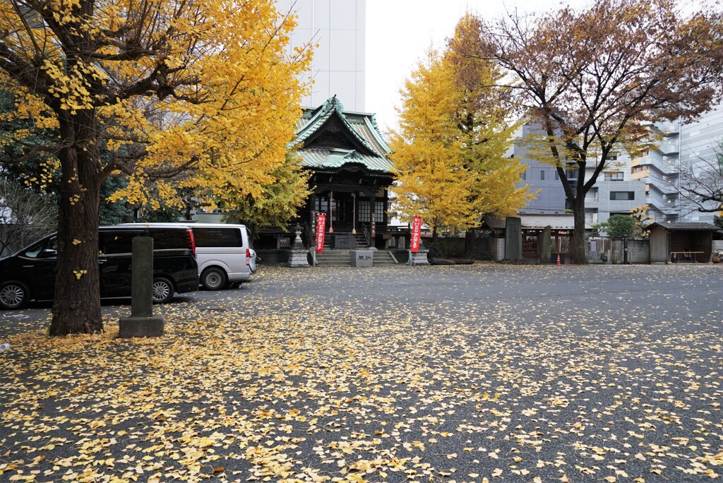 落葉の太宗寺