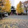 落葉の太宗寺