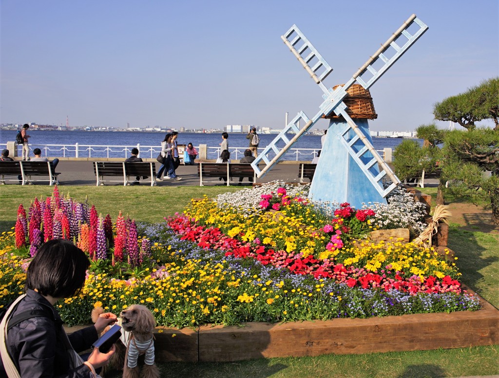 まだポーズを取ってくれない