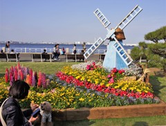 まだポーズを取ってくれない