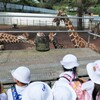 ずっと見てます