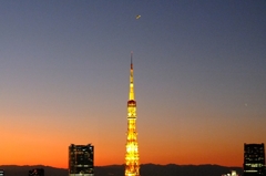 東京タワー 東京タワー