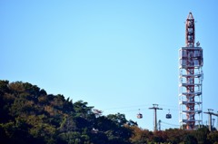 「よみうりランド」の紅葉