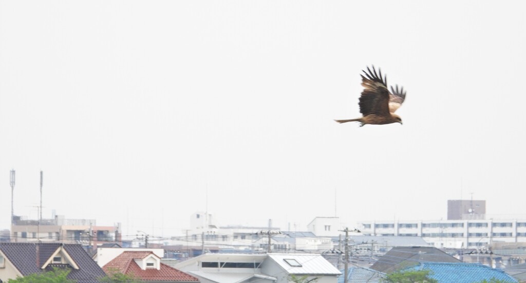 じゃーな