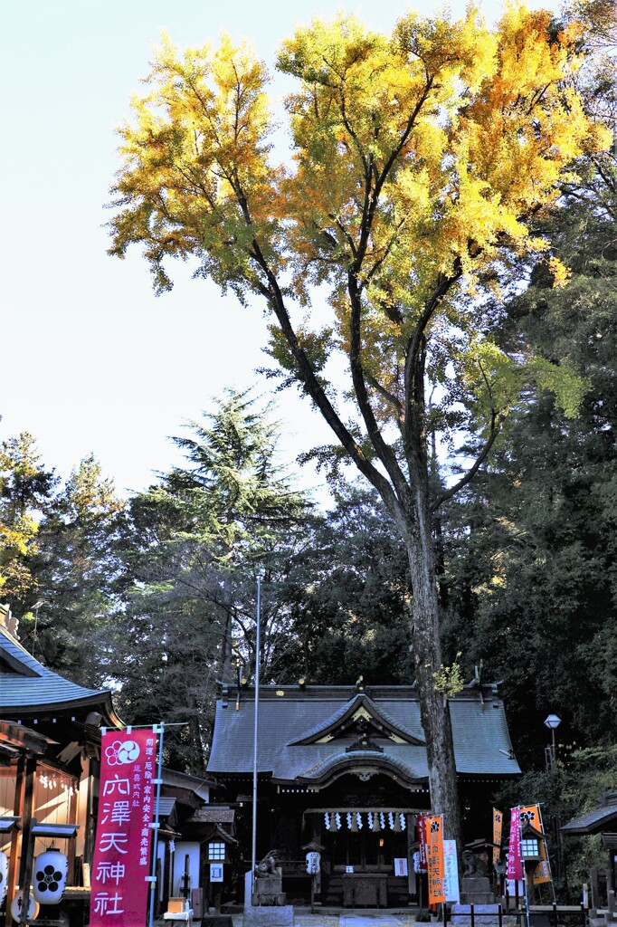 神道は争いません