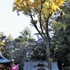 神道は争いません