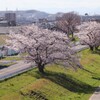 良いアングル