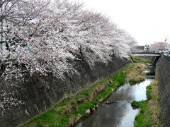 序の口
