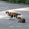 あばよダチ公