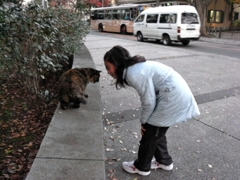 そんな自分にも美少女が声をかけてくれたのであります