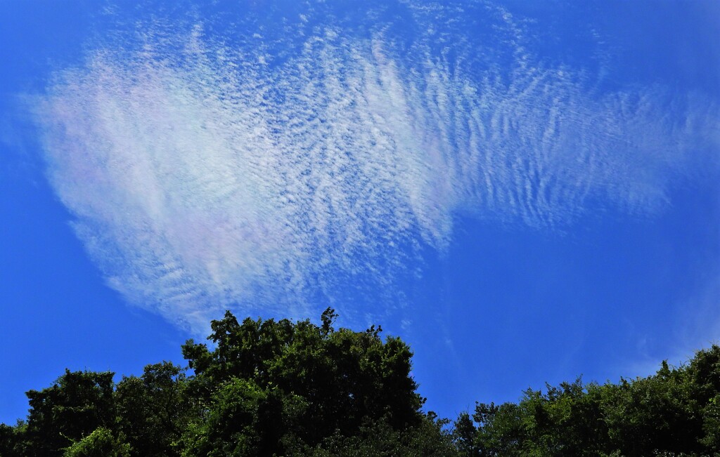 うろこ雲