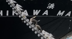 曲げられるゥ、ほら