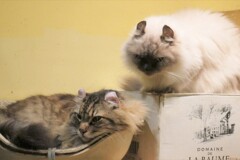 ねえ、聞いてよ