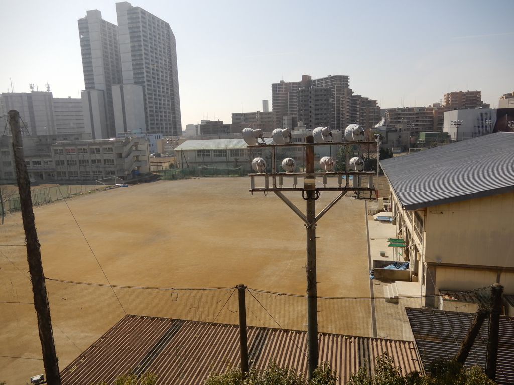 50年後の再会
