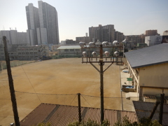 50年後の再会