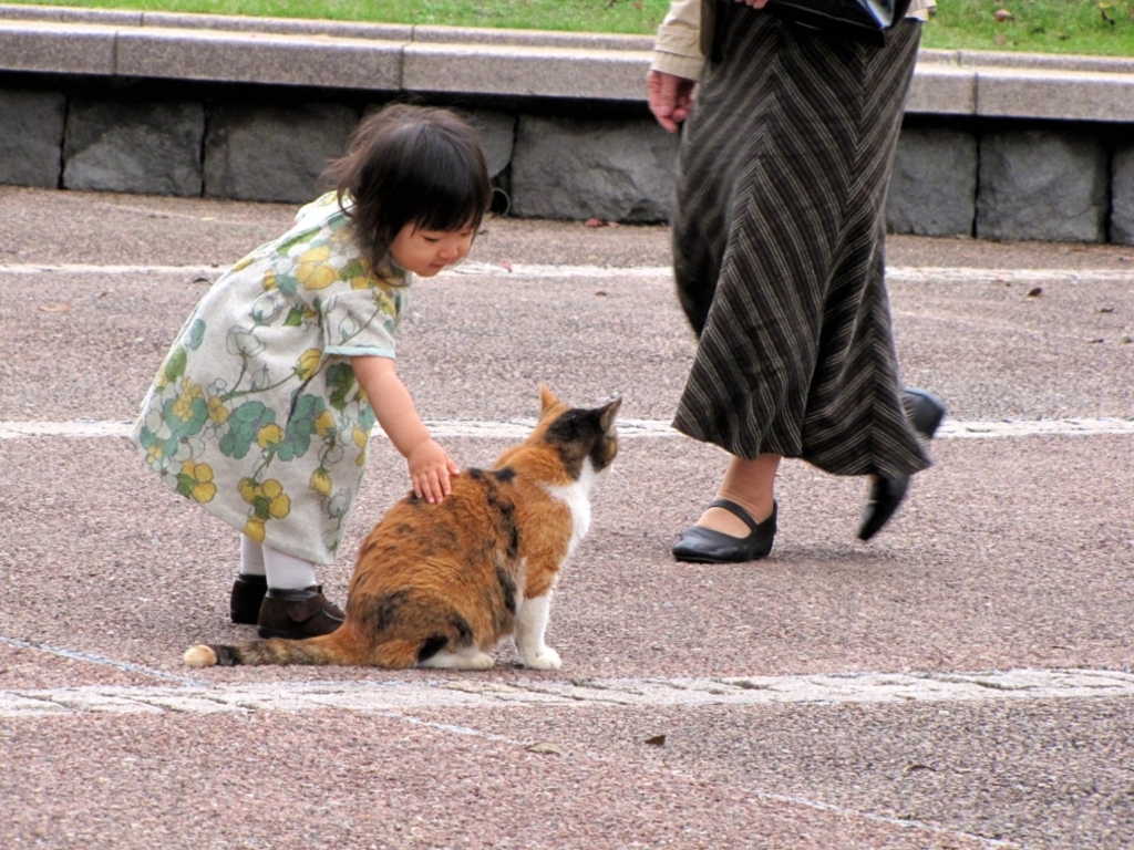 なんばしよっと