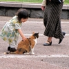 なんばしよっと