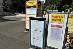 野生のサル出没注意