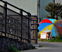 ビーチパラソル