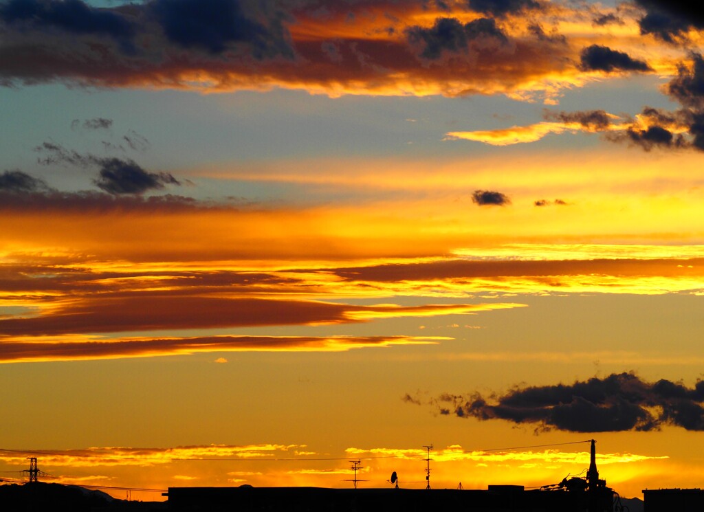 明日が良い日でありますように