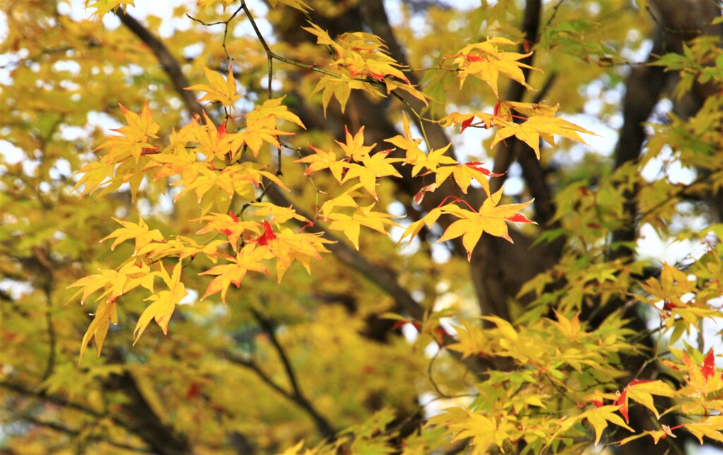 帰りは東門から