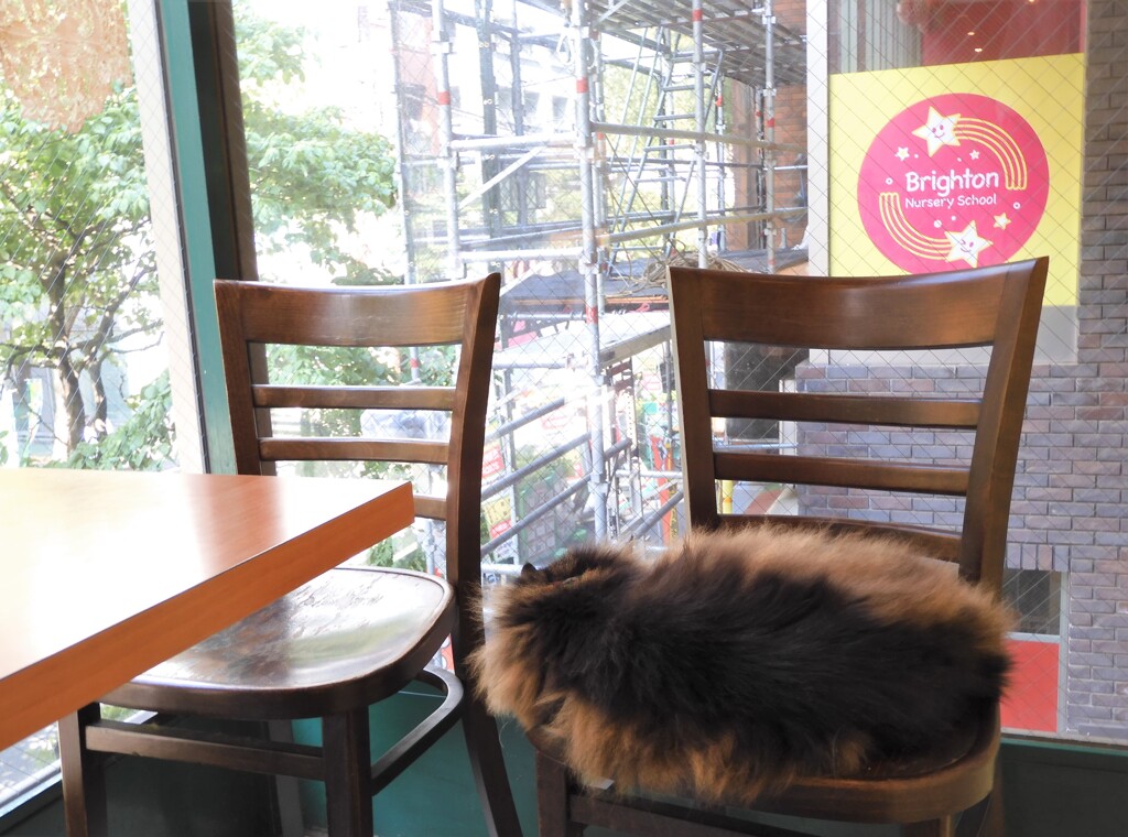 こっちも大規模修繕！