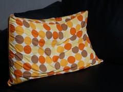 smc-PENTAX M50mmF2 (76年)