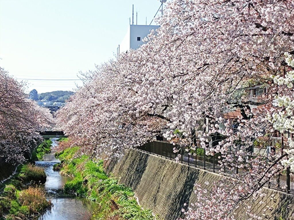 稲城市役所前