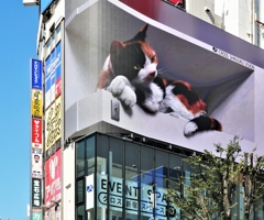 知らんけど
