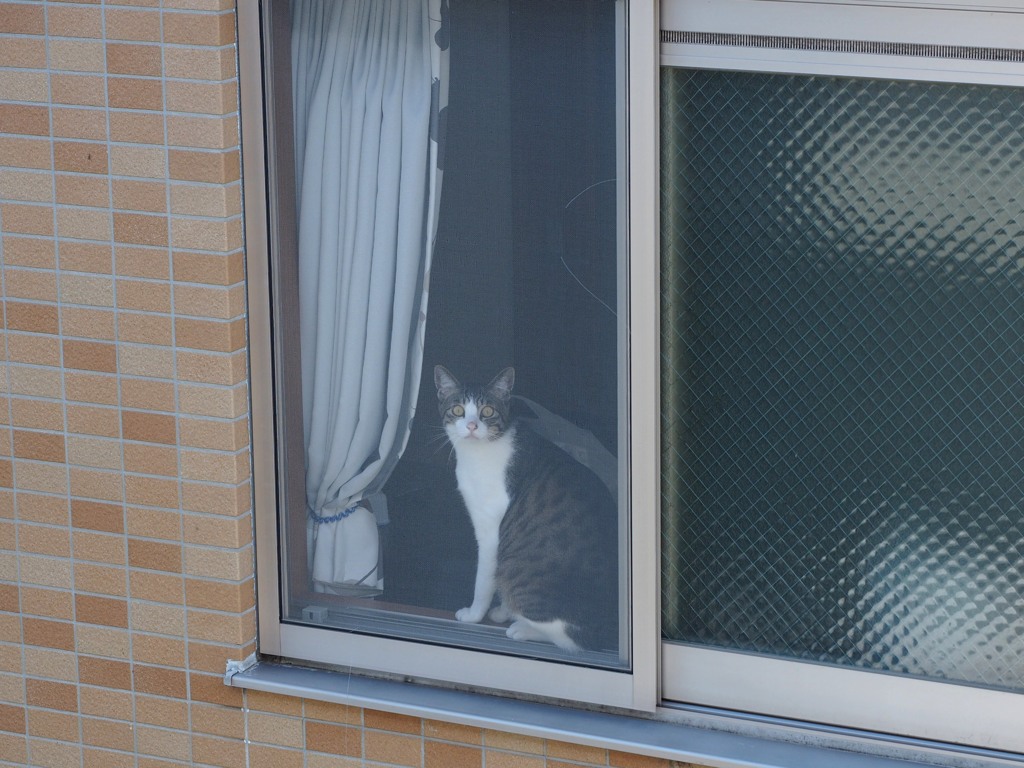 おはよう！