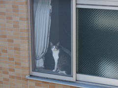 おはよう！