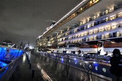 セレブリティ・ミレニアムの威容