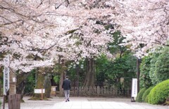 神池庭園への道