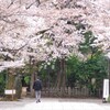 神池庭園への道